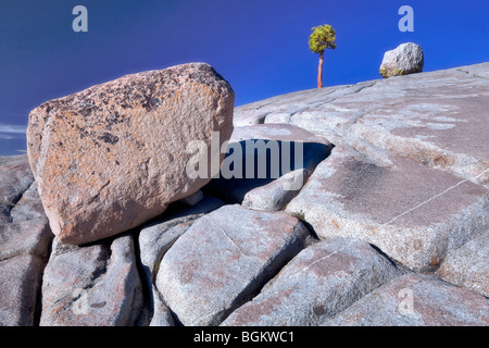 Granitfelsen und einsamer Baum. Yosemite Nationalpark, Kalifornien Stockfoto