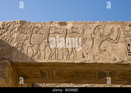 Reliefs zeigen Linien der Paviane in einer Kammer in Medinet Habu, Leichenhalle Tempel von Ramses III, Westufer des Nil, Luxor, Ägypten Stockfoto