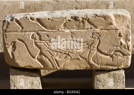 Neu entdeckte einzelne Blöcke aus der neuen Open-Air-Museum im Luxor-Tempel, Luxor, Ägypten Stockfoto