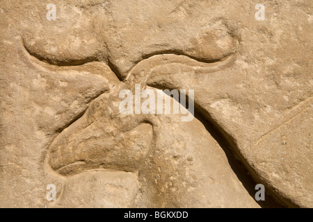 Nahaufnahme von geschnitzten Relief des Rams Head bei Medinet Habu, Leichenhalle Tempel von Ramses III, Westufer des Nil, Luxor, Ägypten Stockfoto