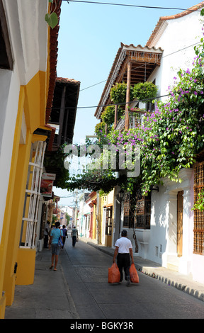 Schmale Straßenszene in der alten Stadt Cartagena. Koloniale Architektur, große Balkone mit überquellenden Bougainvillea. Kolumbien Stockfoto