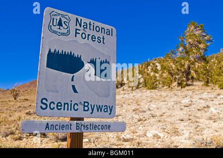 National Forest scenic Byway Zeichen, Ancient Bristlecone Pine Forest, Inyo National Forest, White Mountains, Kalifornien Stockfoto