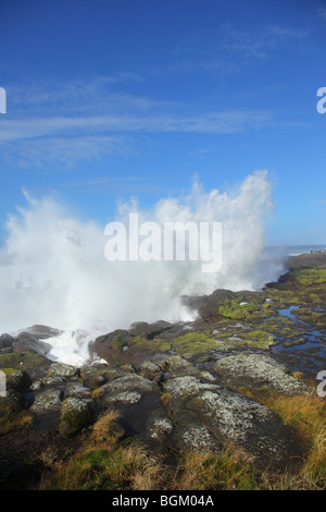 Welle gegen Felsen an der Küste von Oregon plantschen Stockfoto
