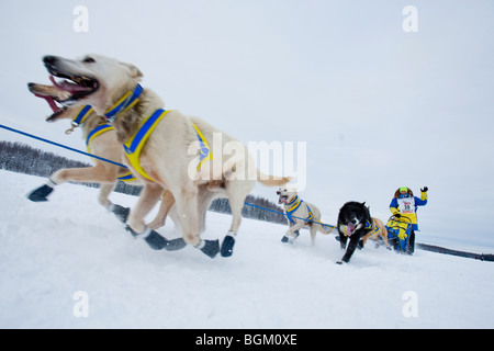 Alaska, Willow. Iditarod Trail Sled Dog Race 2009 offizielle Neustart. Musher am langen See. Stockfoto