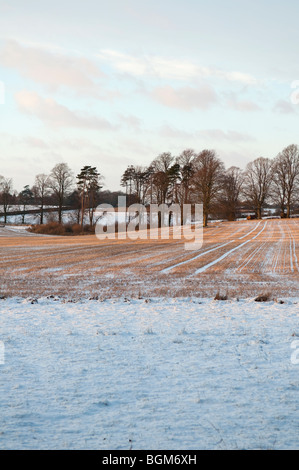Abendlicht auf einem englischen Feld nach einem Schneefall. Stockfoto