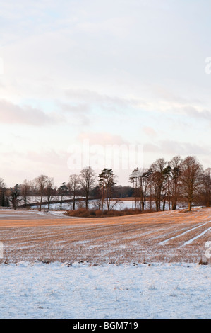 Abendlicht auf einem englischen Feld nach einem Schneefall. Stockfoto