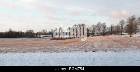Abendlicht auf einem englischen Feld nach einem Schneefall. Stockfoto