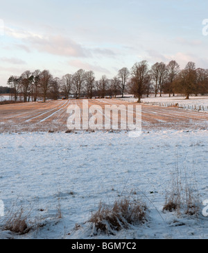 Abendlicht auf einem englischen Feld nach einem Schneefall. Stockfoto