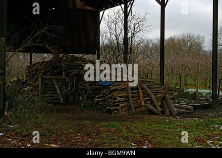 Holzstapel in einer alten Scheune Stockfoto