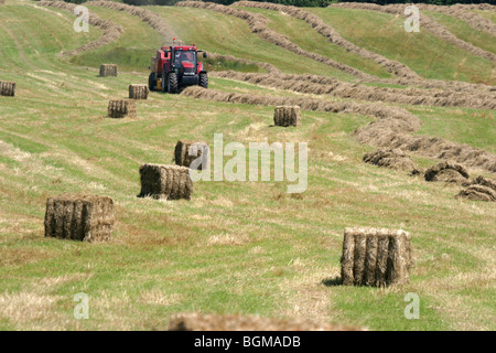 Traktor Heuballen Pressen große quadratische Stockfoto