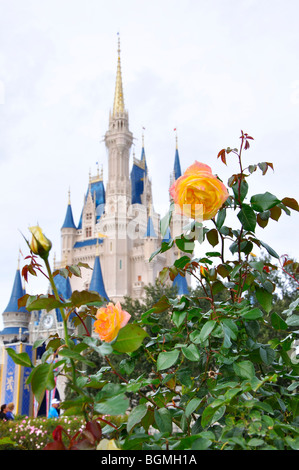 Cinderellas Schloss, Disneyworld, Orlando, Florida, USA Stockfoto
