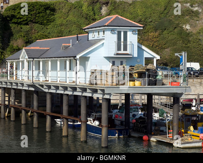 Hafen Sie, Fischerei, Ventnor Hafen, Ventnor, Isle Of Wight, England, UK. Stockfoto