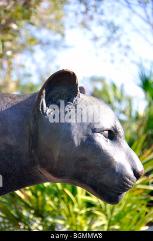 Panther von Eric Berg, Everglades Park, Florida, USA Stockfoto