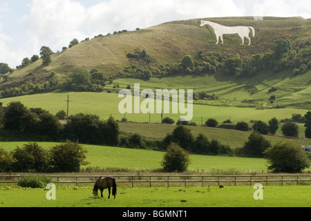 Westbury White Horse, Wiltshire Stockfoto