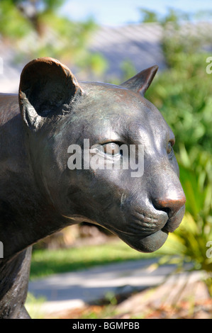 Panther von Eric Berg, Everglades Park, Florida, USA Stockfoto