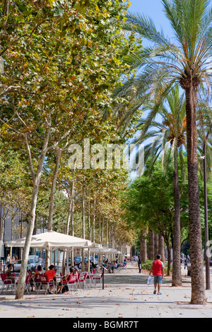 Barcelona - Rambla del Raval - El Raval-Viertel Stockfoto