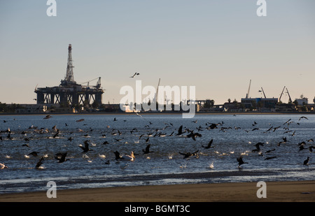 Bohrinsel in Walvis Bay mit Pelikane und Flamingos im Vordergrund. Namibia Stockfoto