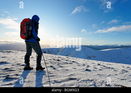 Wanderer auf dem Gipfel des Meall Na Teanga (917m) nach Südwesten. Lochaber, Highland, Schottland, Großbritannien. Stockfoto