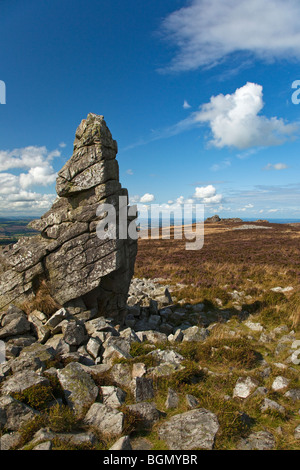 Lila Heidekraut auf Stiperstones August Sommersonne Shropshire Hügel England UK United Kingdom GB Großbritannien britische Inseln Stockfoto