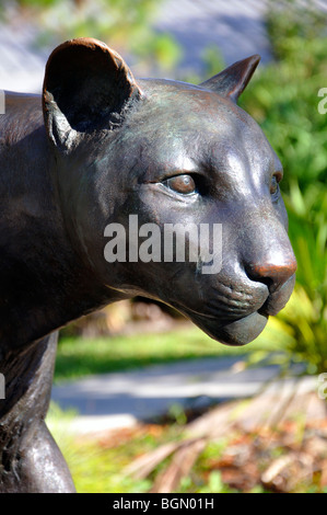 Panther von Eric Berg, Everglades Park, Florida, USA Stockfoto