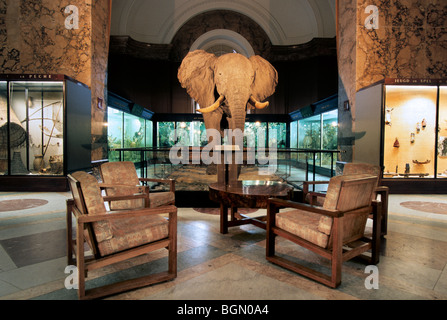 Innenraum mit Stoffelefanten in das Afrikamuseum, Tervuren, Belgien Stockfoto