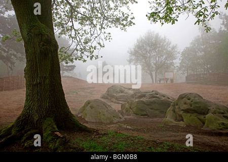 Der Hol-Rock im Nebel, eine prähistorische Fundstätte Zonhoven, Belgien Stockfoto