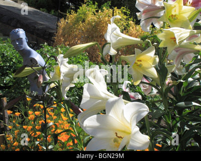 Eine Schaufensterpuppe als lustige Gartenskulptur und eine Ausstellung von Alstroemeria-Lilien in einem blühenden rustikalen Landhausgarten in Tasmanien, Australien Stockfoto