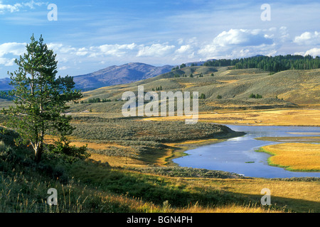 Der Yellowstone River im Hayden Valley, Yellowstone-Nationalpark, Wyoming, USA Stockfoto
