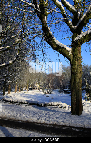 Schöner Park im Schnee Stockfoto