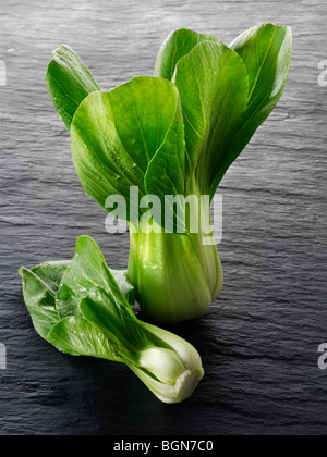 Frische Blätter von Pak Choi Stockfoto