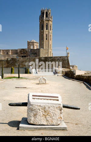 alte Kathedrale La Seu vella Stockfoto