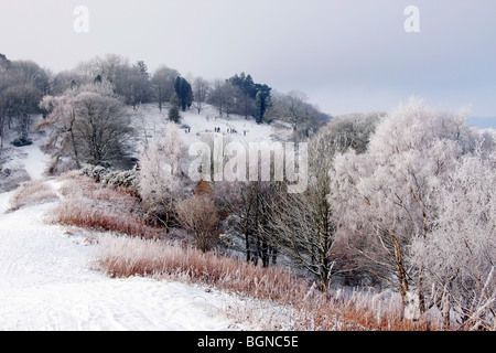 Frost bedeckt, Bäume und Menschen, die in der Ferne auf Malvern Hills Worcestershire uk Rodeln Stockfoto