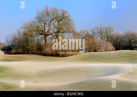 Bäume auf frostigen Boden Stockfoto