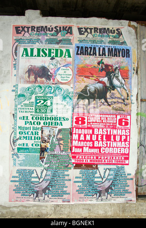 Bull Fighting Plakate Region Extremadura Spanien Stockfoto