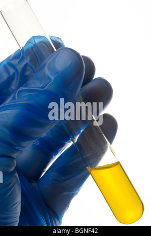 blaue behandschuhten Hand hält Reagenzglas mit gelben Muster Stockfoto