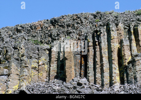 Sheepeater Klippe, ein Basalt-Rock-Formation im Yellowstone NP, Wyoming, USA Stockfoto