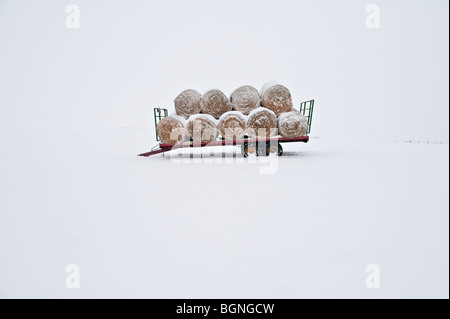 Ein Anhänger mit Stroh Rundballen geladen steht in ein leeres schneebedeckten Feld in Mid-Wales Stockfoto