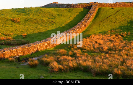 Ansicht der Hadrianswall eine antike römische bleiben aussehende West in der Nähe von Knag Burn in Richtung Housesteads Fort Northumberland England UK Stockfoto