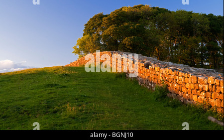 Ansicht der Hadrianswall eine antike römische bleiben aussehende Ost in der Nähe von Knag Burn Tor und Housestead in Northumberland, England UK Stockfoto