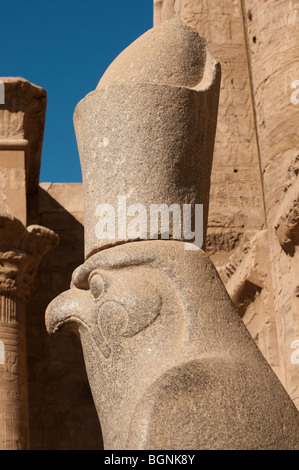 Skulptur von der Antike ägyptische Gott Horus am Tempel des Horus in Edfu, Ägypten Stockfoto