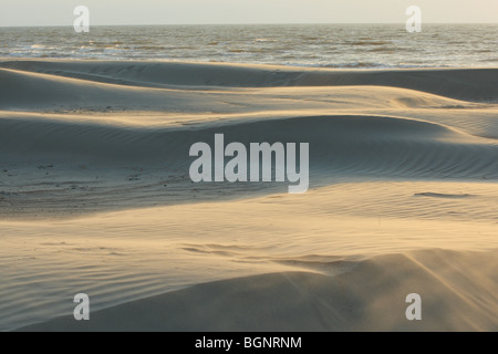 Sandsturm auf Strand, belgische Küste, Belgien Stockfoto