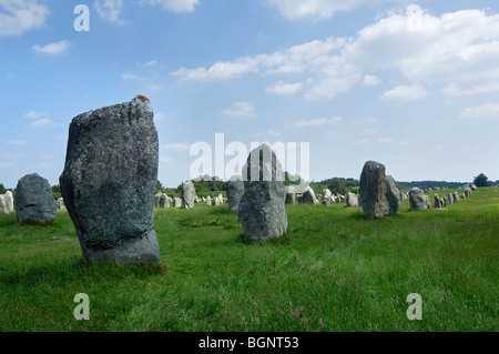 Standing Stones in die Ménec Ausrichtung in Carnac, Morbihan, Bretagne, Frankreich Stockfoto