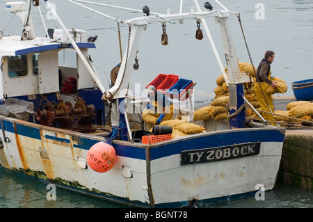 Fischer Taschen mit Jakobsmuschel (Pecten Jacobeus) im Hafen von Erquy entladen Côtes-d ' Armor, Bretagne, Frankreich Stockfoto