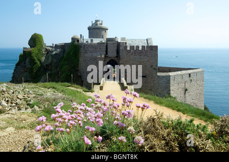 Secondhand / Meer Rosa (Armeria Maritima) und Fort La Latte bei Cap Fréhel, Côtes-d ' Armor, Bretagne, Frankreich Stockfoto