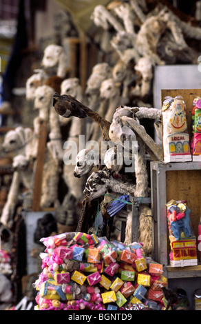 Lama-Föten, für heilige Rituale zum Verkauf an Hexenmarkt verwendet. La Paz, Bolivien. Stockfoto