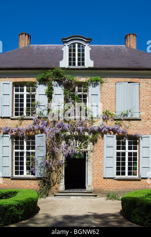 Blauregen wächst um Tür des Presbyteriums Schriek in das Freilichtmuseum Bokrijk, Belgien Stockfoto