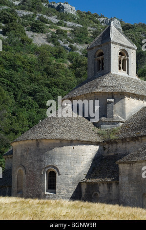 Sénanque Abbey / Abbaye Notre-Dame de Sénanque nahe Dorf von Gordes, Vaucluse, Provence-Alpes-Côte d ' Azur, Provence, Frankreich Stockfoto