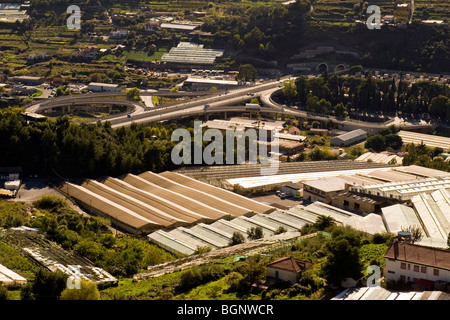 Blumen-Fabrik, San Remo, Imperia Provinz, Italien Stockfoto