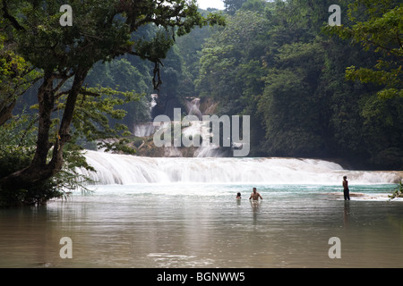 Agua Azul Dschungel Wasserfällen und Stromschnellen in Chiapas, Mexiko Stockfoto