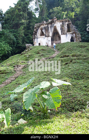 Templo De La Cruz Foliada, Foliated Kreuz Tempel, archäologische Stätte Palenque, Chiapas, Mexiko. Stockfoto